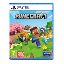 PS5 MINECRAFT